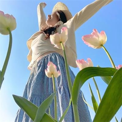 三个火枪手:达达尼昂